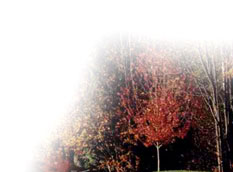 Golf in Vancouver and the Lower Mainland