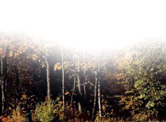 Golf in Vancouver and the Lower Mainland