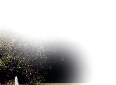 Golf in Vancouver and the Lower Mainland