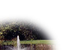 Golf in Vancouver and the Lower Mainland
